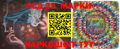 МДПВ Камышлов