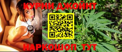 МДПВ Камышлов