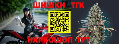 МДПВ Камышлов
