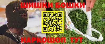 МДПВ Камышлов