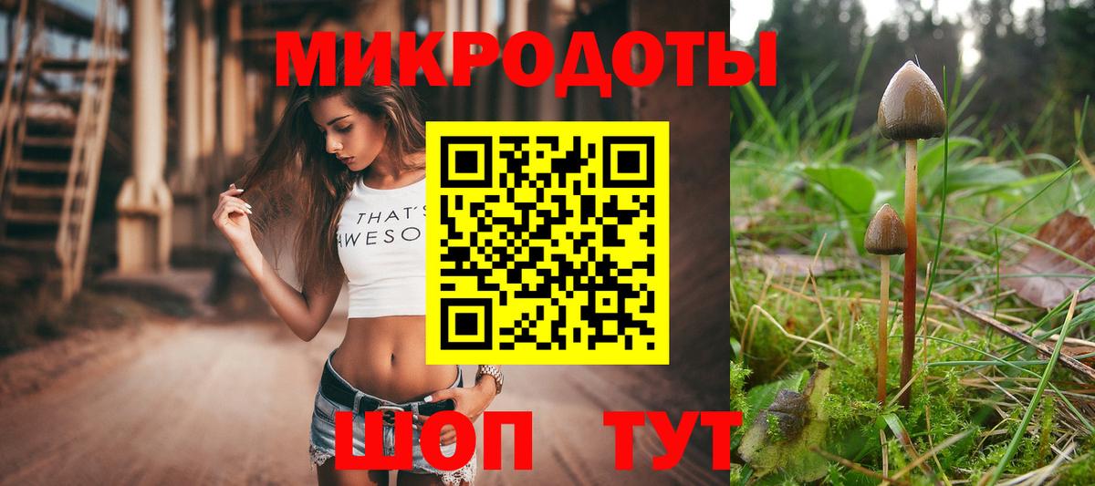 Галлюциногенные грибы GOLDEN TEACHER  Псилоцибиновые грибы GOLDEN TEACHER  Красноуфимск  что такое наркотик  Вход с VPN 