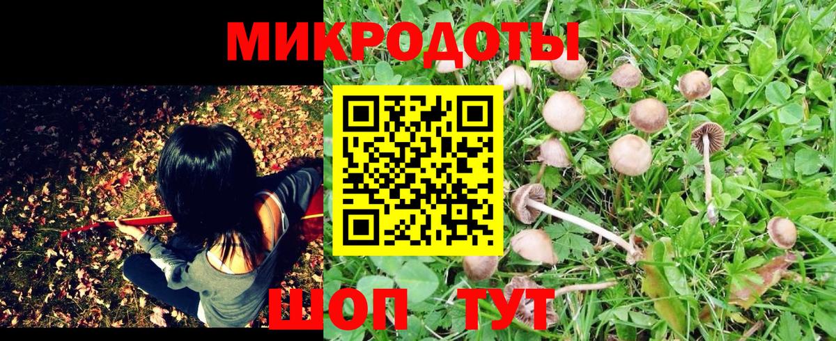 Галлюциногенные грибы ЛСД Красноуфимск